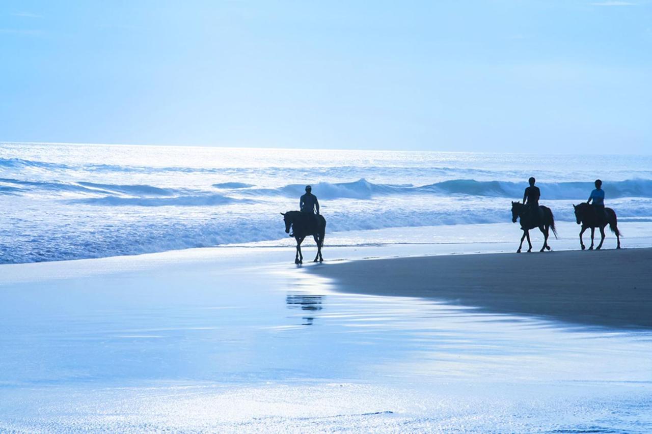 Miramar Beach Home Walk To Beach Trails Restaurants Family Activities Халф Мун Бэй Экстерьер фото